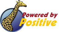 The Positive Internet Company Limited