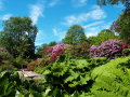 Sights of Birmingham: The Botanical Gardens